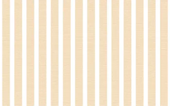 Keramik Platinum Hayden Orange - 25x40