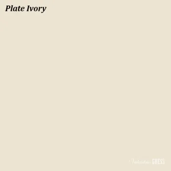 Granite Tile Valentino Plate Ivory - 60x60