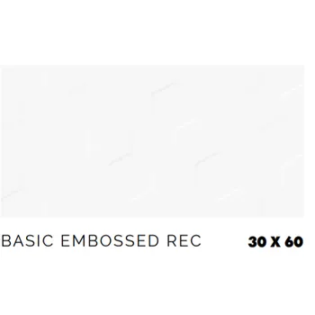 Keramik Platinum Tracy Basic Embossed - 30x60