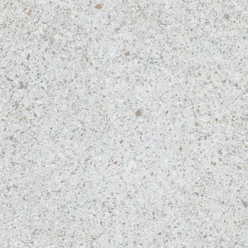 Granite Tile Niro Grigio Chiaro D0080 - 60x60