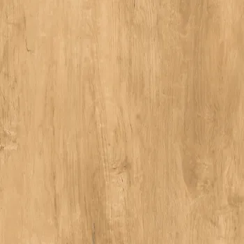 Granite Tile Essenza Elm - 60x60. Wood