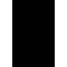 Granite Tile Garuda GS129P009 Pure - 60x120. Black