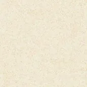 Granite Tile Roman GT332402R dConcept Beige - 30x30