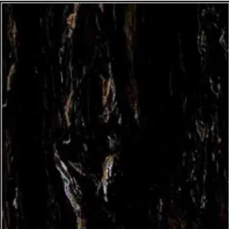 Granite Tile Nara Ceramica NA60MG050 - Marble - 60x60. Beige