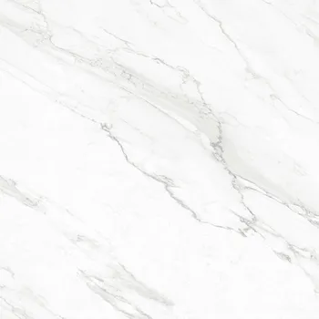 Granite Tile Roman GT1009444FR dTrevi Calacatta - 100x100