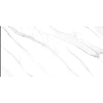 Granite Tile Nara Ceramica NA62MG023 - Himalaya - 60x120. White