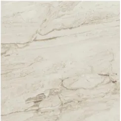 Granite Tile Torch 60x60 4D117 Coklat