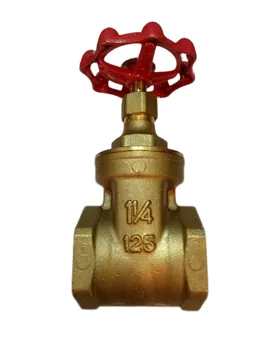 Gate Valve Kitz 1 1/4