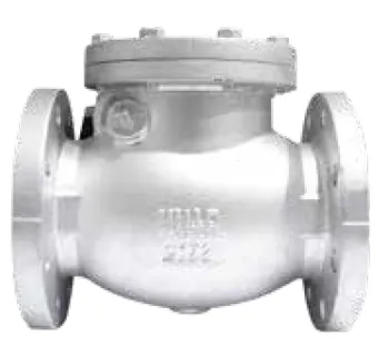 Check Valve Yuta FL CI 125CC 4