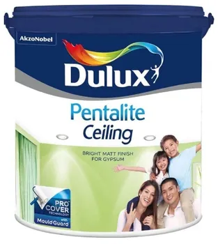 Cat Dinding Dulux Pentalite Ceiling