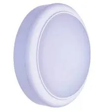 Lampu  Armatur Philips WL008C NW Oval W