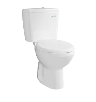 Kloset Duduk TOTO CW660NJ + Eco Washer