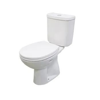 Kloset Duduk Wasser CT-315